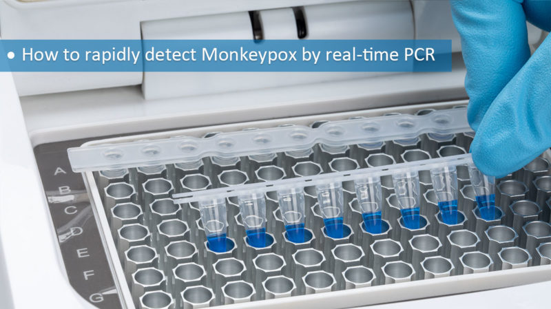 How to rapidly detect Monkeypox by real-time PCR - GenFollower