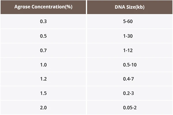 agarose concentration